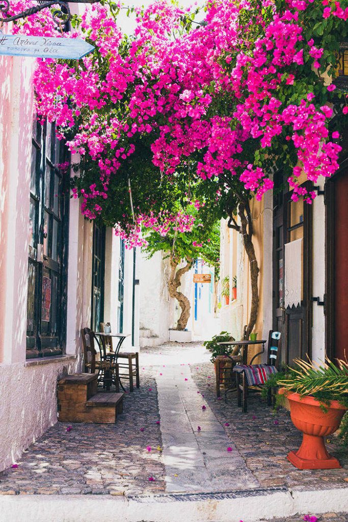 Purple bougainvillea in the streets of Ano Syros, Greece